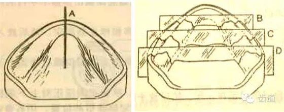 35.webp.jpg