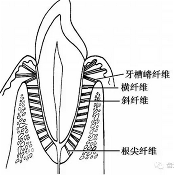 QQ图片20160825170418.png