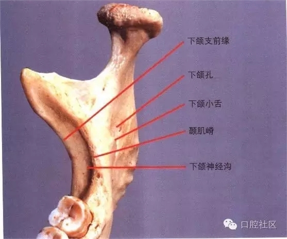 口腔医生必读：“急诊抢救”预案