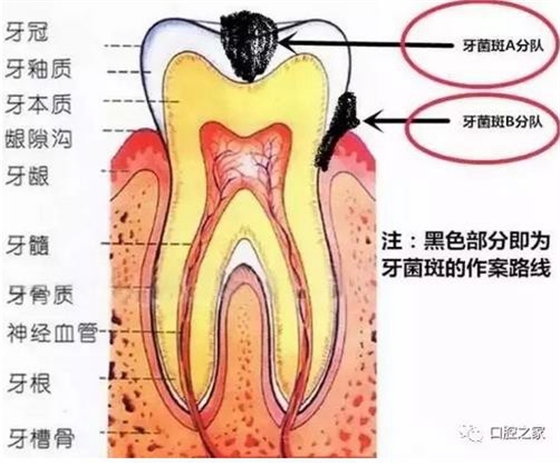 360截图20170119154659363.jpg