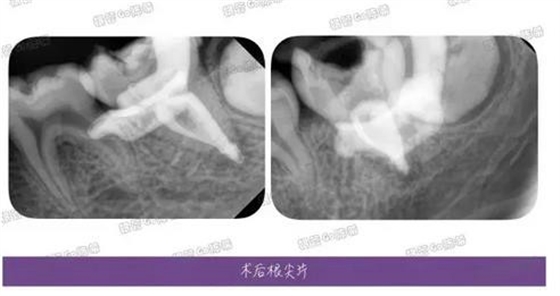 360截图20170122102446349.jpg