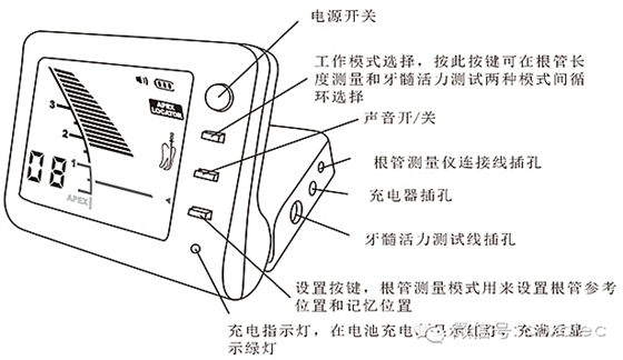 根管长度测量仪的使用