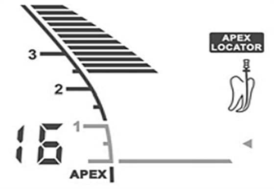 根管长度测量仪的使用
