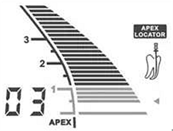 根管长度测量仪的使用