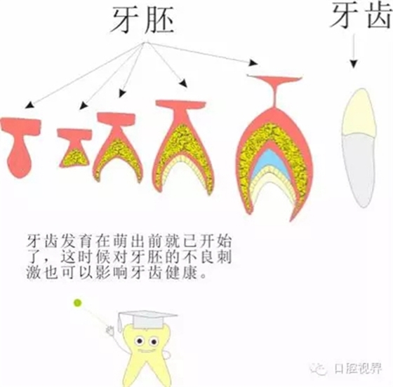 【口腔科普】爱牙从这里开始——爱牙科普知识300问（连载五）