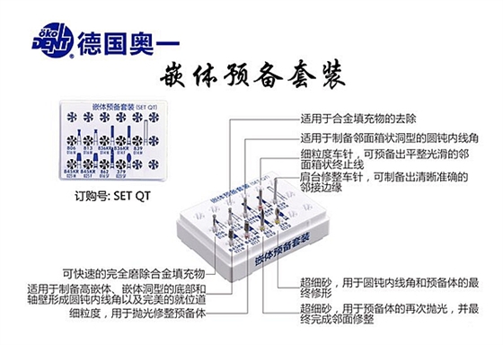 德国奥一车针