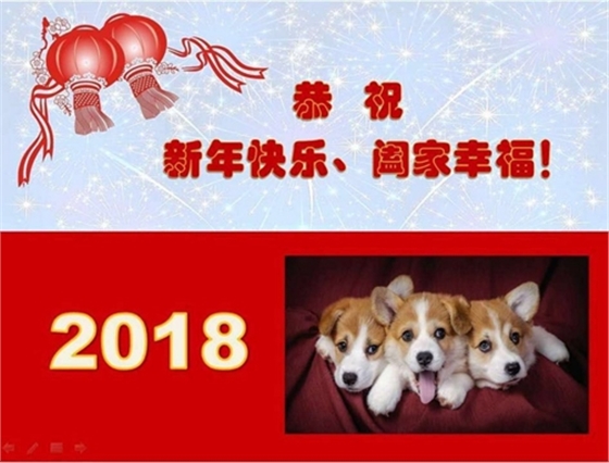 小狗图片
