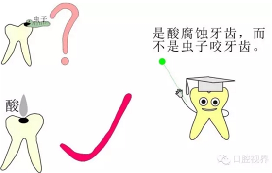 龋齿常识