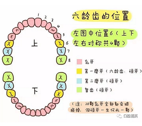 别等孩子的恒牙都烂完了,才预防蛀牙!