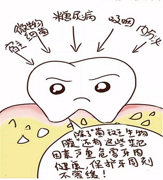 8.png 8.png