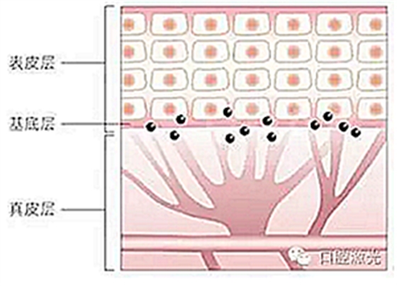 为什么我的牙龈会发黑?该如何治疗? 为什么我的牙龈会发黑?该如何治疗?
