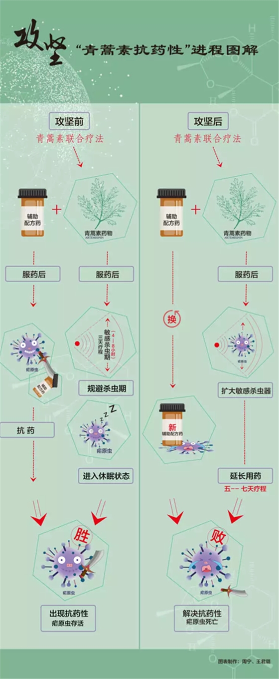 屠呦呦团队新突破！