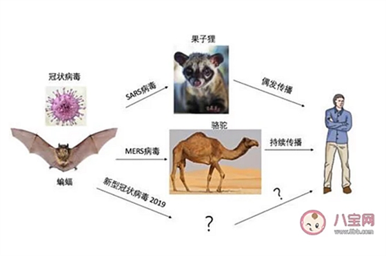 新型冠状病毒感染了一定会发热吗？新型冠状病毒前期的症状有哪些？