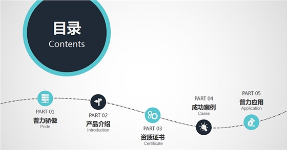 台湾普力600消毒锭批发|台湾普力600二氧化氯消毒剂