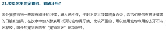 牙医；关于牙齿的21个问题，答案就在这！