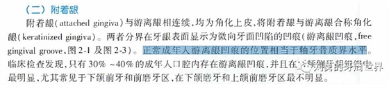 附着龈