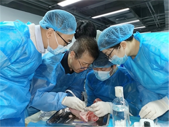 张东星老师上海微创拔牙实操风采 张东星老师上海微创拔牙实操风采