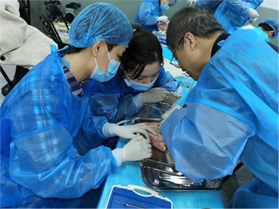 张东星老师上海微创拔牙实操风采 张东星老师上海微创拔牙实操风采