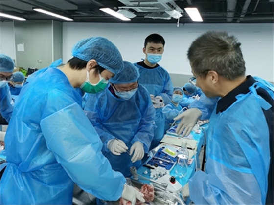 张东星老师上海微创拔牙实操风采 张东星老师上海微创拔牙实操风采