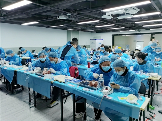 张东星老师上海微创拔牙实操风采 张东星老师上海微创拔牙实操风采