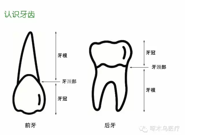 QQ图片20150710135025.png