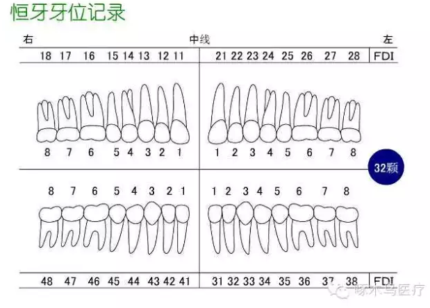 QQ图片20150710135330.png