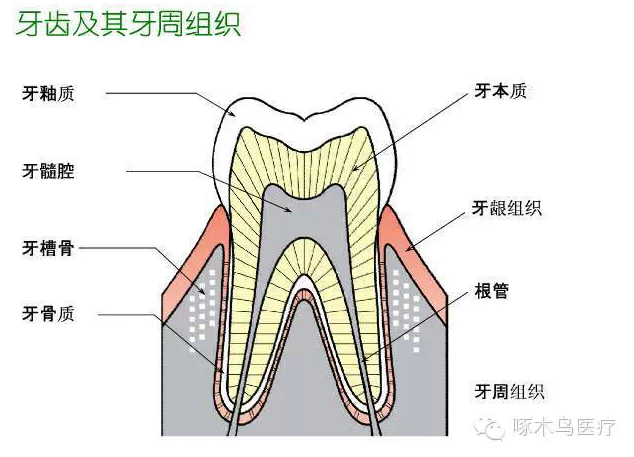 QQ图片20150710135853.png