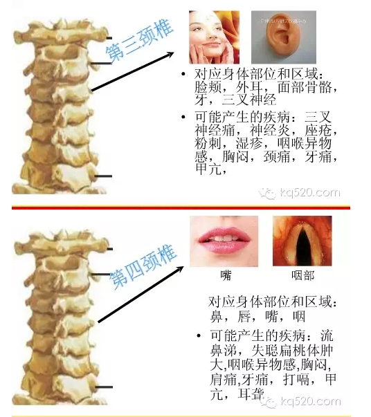 QQ图片20150710164612.png