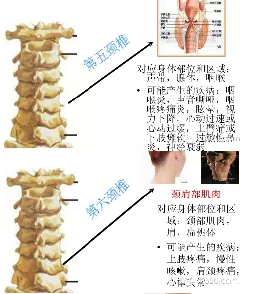 QQ图片20150710164650.png