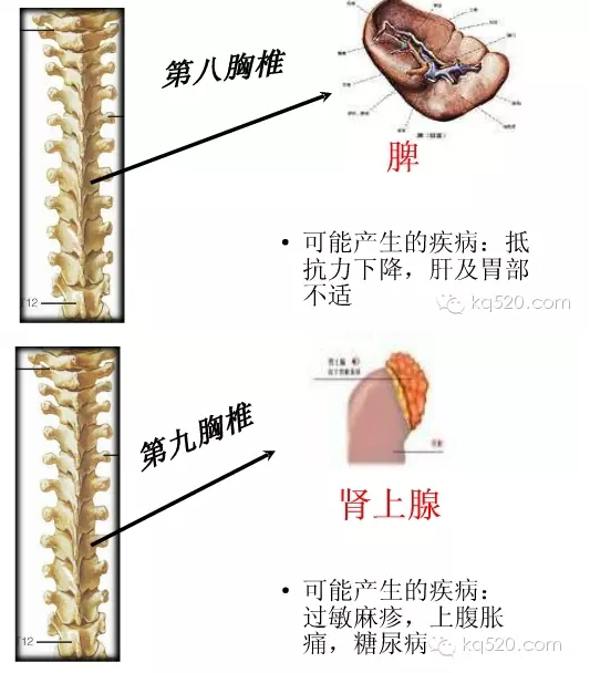 QQ图片20150710164935.png