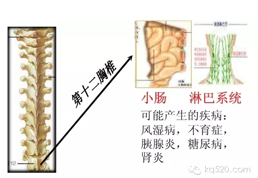 QQ图片20150710165001.png