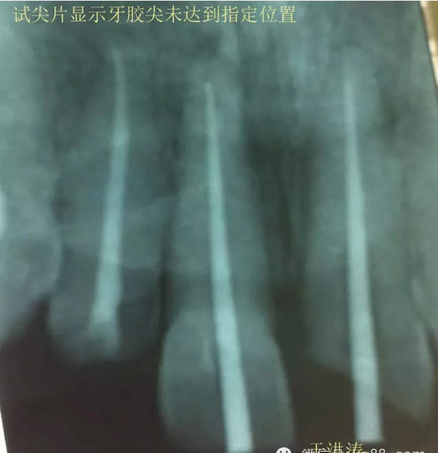 QQ图片20150711104916.png