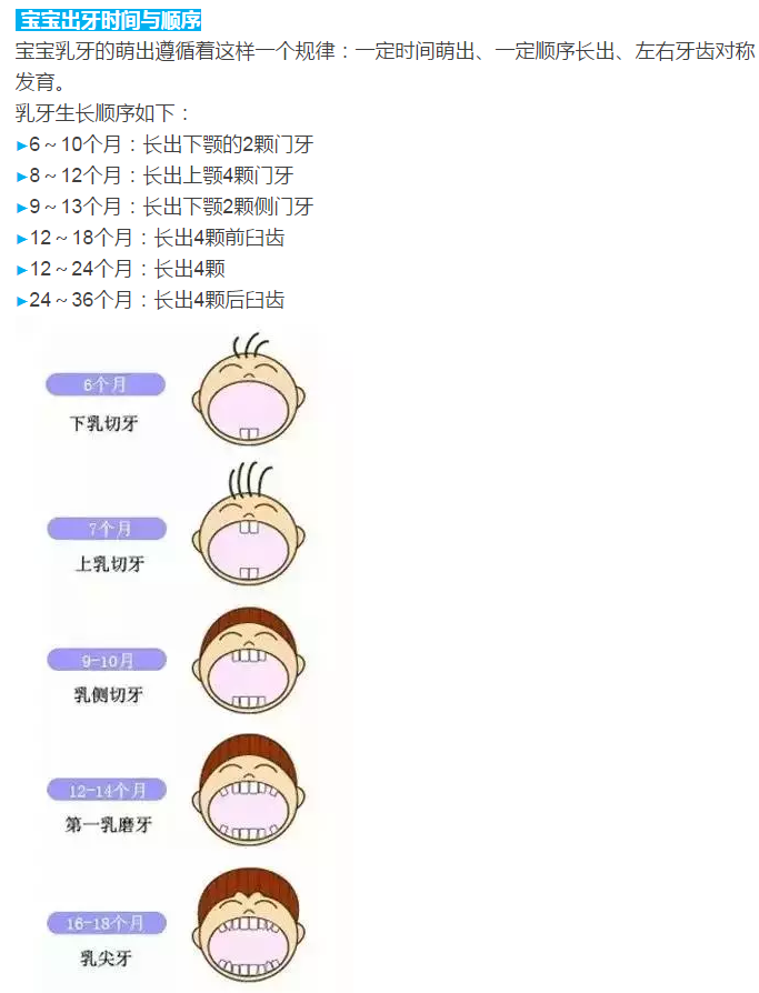 联洋诊所詹医生儿科小讲堂-【宝宝出牙和换牙时刻表】