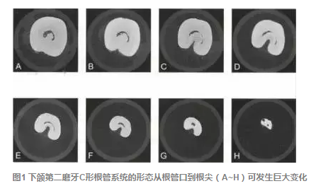 QQ图片20150717173354.png