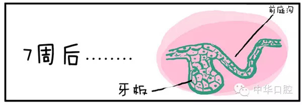 QQ图片20150720090513.png