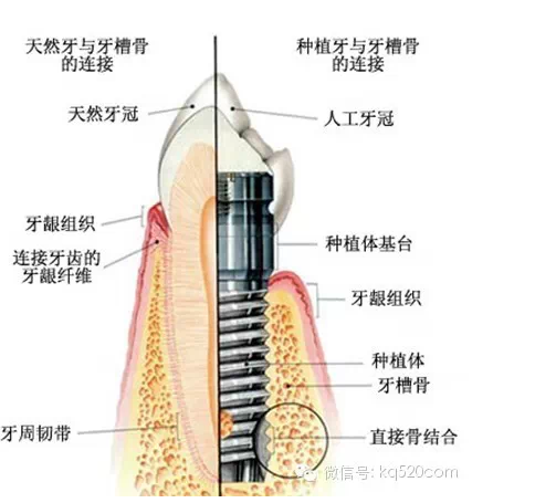 QQ图片20150721100239.png