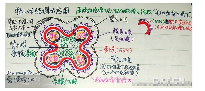 版权归原作者