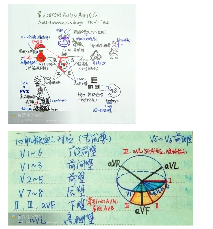 版权归原作者