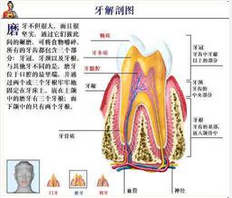 QQ图片20150721114747.png