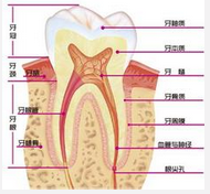 QQ图片20150721114903.png