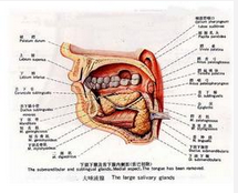 QQ图片20150721115000.png