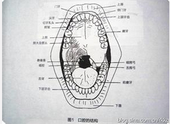 QQ图片20150721132742.png