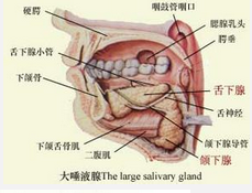 QQ图片20150721133212.png