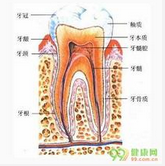 QQ图片20150721133250.png