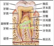 QQ图片20150721133335.png