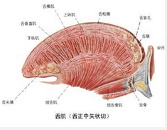 QQ图片20150721134126.png