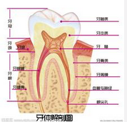 QQ图片20150721134306.png