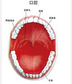 QQ图片20150721134531.png