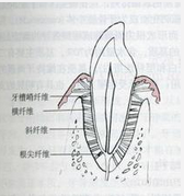 QQ图片20150721134651.png