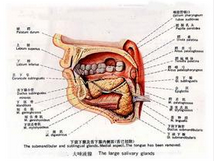 QQ图片20150721135548.png